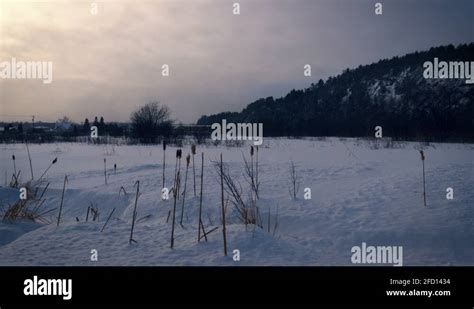 Parc du saguenay Stock Videos & Footage - HD and 4K Video Clips - Alamy