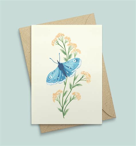 Butterfly Greetings Cards Isabelle Morgan Illustration