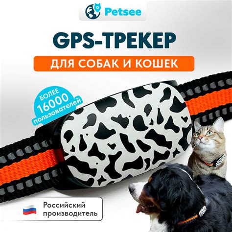 Ошейник с gps для охотничьих собак цена отзывы аналоги — купить по ...