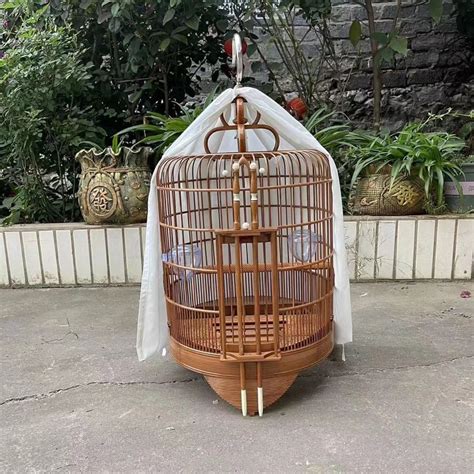 Sangkar Burung Murai Batu Boutique Guangxi Bottom Old Bamboo Thrush