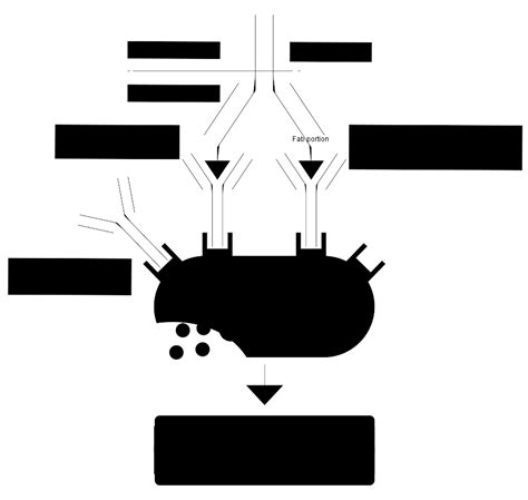 Heavily Glycosylated Proteins | Protein Characterization Services