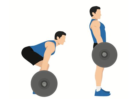 regular strength exercises  men