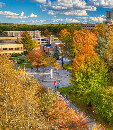 Homepage | Master’s in Public Health | MPH Stony Brook University ...