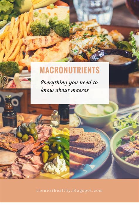 Macronutrients Everything You Need To Know About Macros