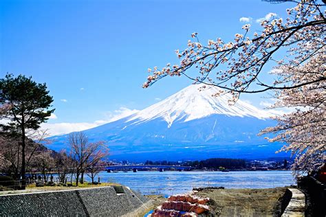 Climbing Mt Fuji A Beginner S Guide What You Need To Know Travel Japan With Amnet