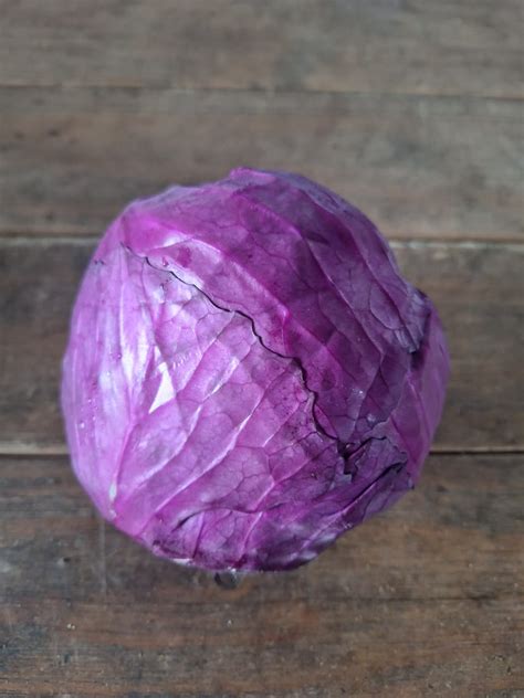 Red Cabbage – Favour Farm