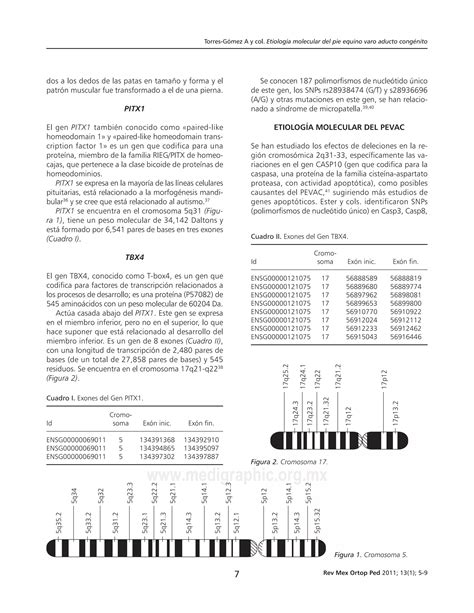 Etiología molecular del pie equino varo PDF