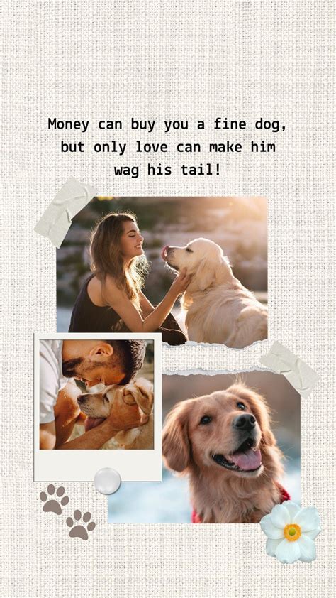 Dog Collage Wallpapers - Top Free Dog Collage Backgrounds - WallpaperAccess