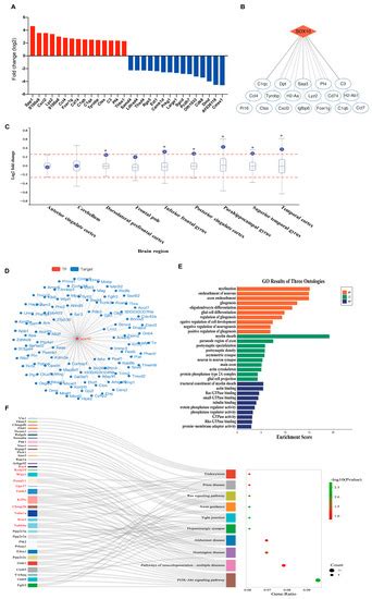 Ijms Free Full Text Sm Deletion Contributes To Neurocognitive