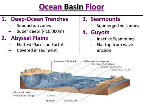 PPT - Features of the Ocean Floor (Bathymetry) PowerPoint Presentation ...