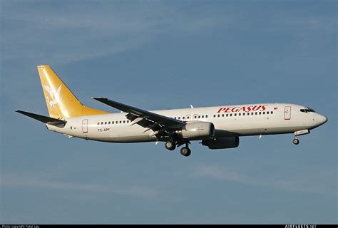 Pegasus Airlines Boeing Ng Max Tc Apf Fhoto Airfleets