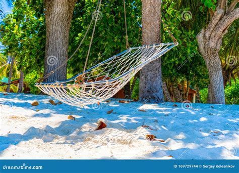 Empty Hammock Between Palms Trees At Sandy Beach Stock Photo Image Of