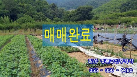 매매완료 매물번호 152번 밀양시 삼랑진읍 Ic 인근 조망 탁월한 전원주택지 2483평 매매합니다 네이버 블로그