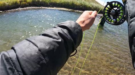 Amazing Fly Fishing For Big Trout Streamer Fishing