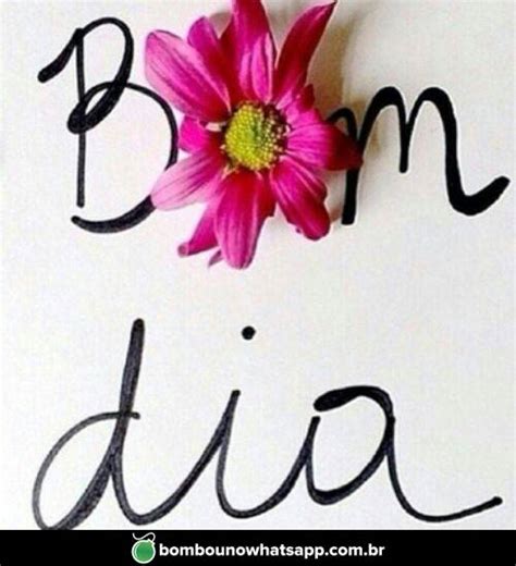 Bom dia (com flores) - Bombou no Whatsapp