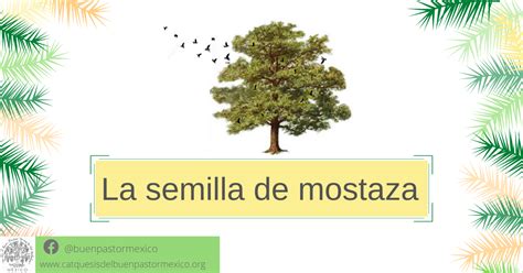 15 La semilla de mostaza Organización Nacional de la Catequesis del