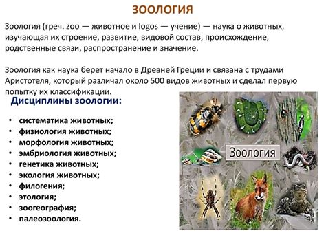 Биология как наука - презентация онлайн