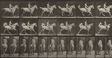 Plate Number Smith Cantering Saddled Rider Nude By Eadweard Muybridge