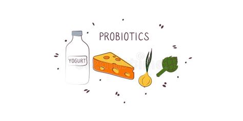 Probiotics Containing Food Groups Of Healthy Products Containing