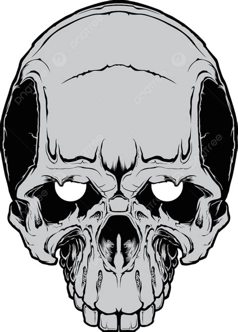 Evil Skull Vector Hd PNG Images, Human Evil Skull Vector Illustration ...