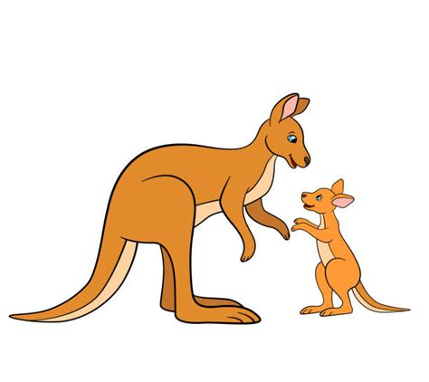 Kangaroo Joey Illustrations, Royalty-Free Vector Graphics & Clip Art ...