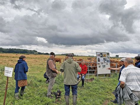 Moore Bewirtschaften Und Sch Tzen Bayerisches Landwirtschaftliches