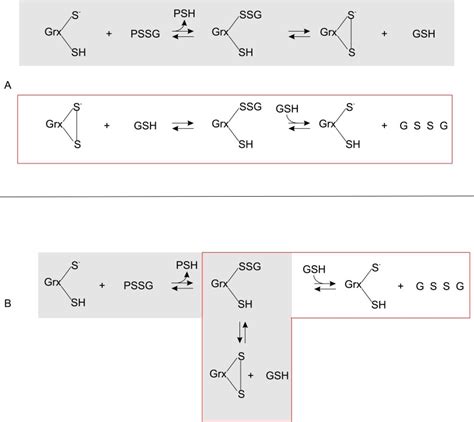 The Glutaredoxin Mono And Di Thiol Mechanisms For Deglutathionylation