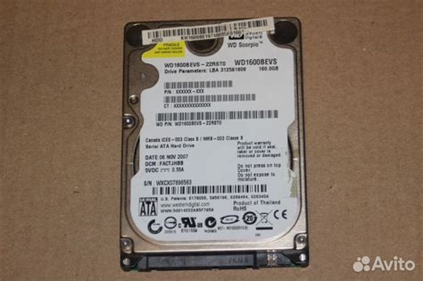 Жесткий диск Western Digital 160 гб WD1600bevs купить в Санкт ...