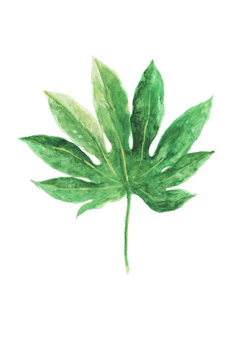 Aralia Leaf Painting Painting By Green Palace Pixels