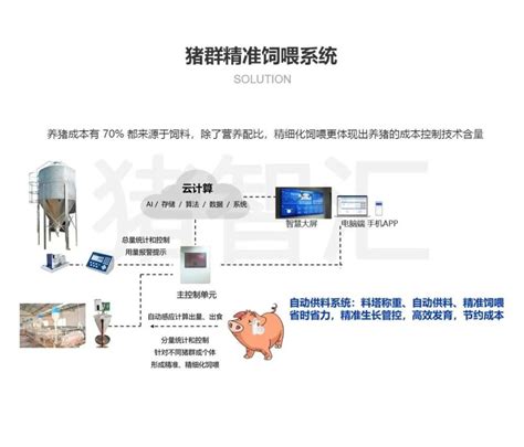 看猪智汇如何解析智慧猪场六大养猪难题腾讯新闻