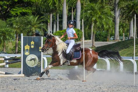 Di Rio De Tatu Exposi O Nacional Do Cavalo Rabe De Esporte Come A