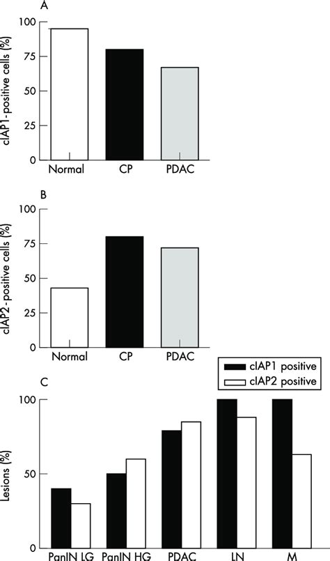 Diagrammatic Representation Of The Results Of The Immunohistochemical Download Scientific