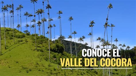 Conoce El Valle Del Cocora Youtube