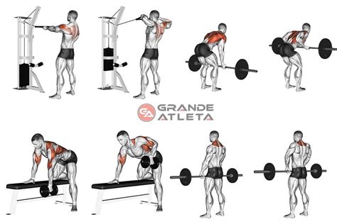 Exercicios Para Definir As Costas - Exercicios Para As Costas _ Exercício costas: 17 opções para tonificar ...