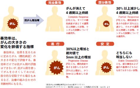 がん治療の効果をはかる指標「奏効率」とは？ 知っておきたい「がん治療」に役立つ知識 「がん治療」新時代