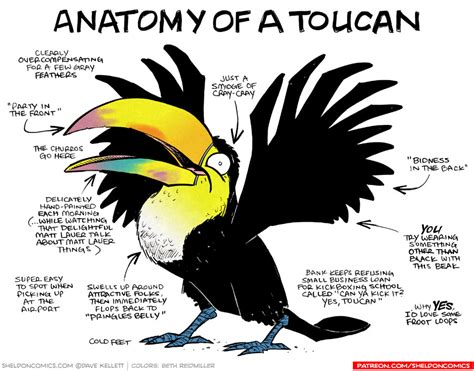 Anatomy of a Toucan - Sheldon® Comic Strip