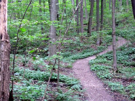 Oak Ridges Trail Association :: Bruce Trail - Hockley Heights (7th Line)