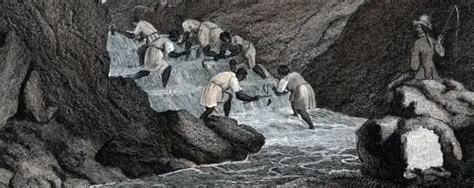 Os Negros Chegaram No Brasil Escravizados Pelos Europeus