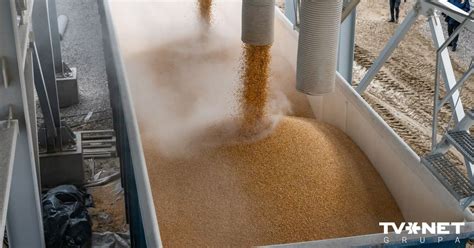 В прошлом году из РФ в Латвию ввезено на 51,5% больше зерновых продуктов