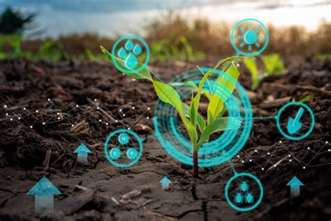 3mt Phd Research Examining Digital Agriculture Through A Responsible Innovation Lens