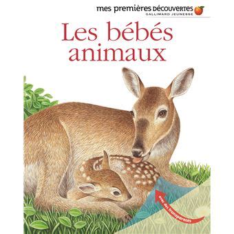 Les B B S Animaux Cartonn Collectif Collectif D Illustrateurs