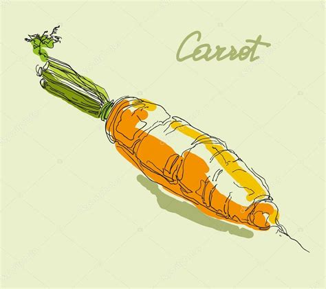 Realistic vector hand drawing set of vegetables Stock Vector Image by ...