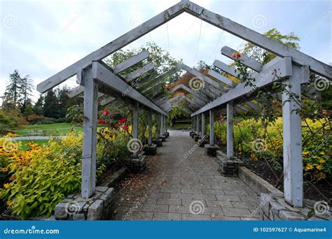 Rose Garden in Stanley Park. Stock Image - Image of foliage, city: 102597627