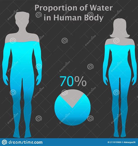 What Percent Of A Human Body Is Water 2
