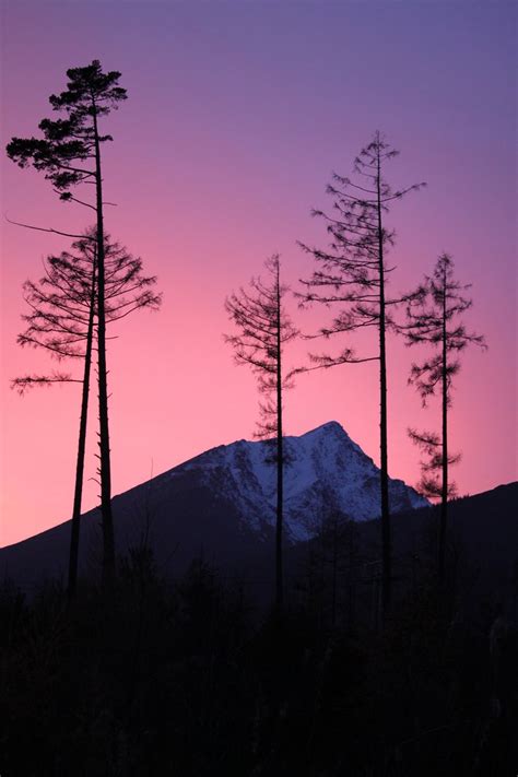 Mountain sunset 2 Free Photo Download | FreeImages