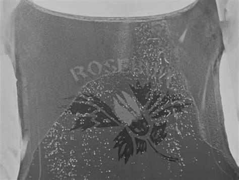 Rosebud In Flames Citizen Kane Orson Welles Citizen Kane