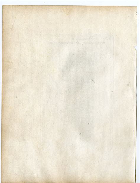 Rare-Antique Print-POLYGALA VULGARIS-COMMON MILKWORT-Belleval-1796