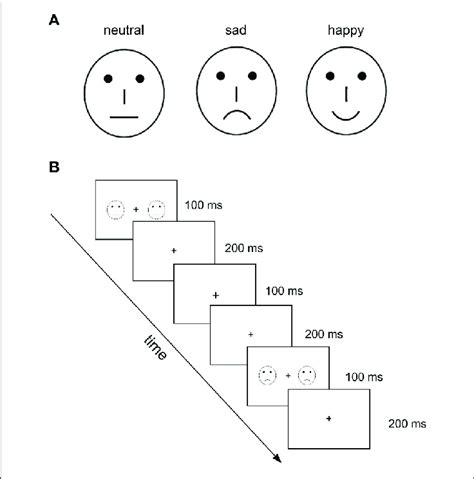 Illustration Of Experimental Stimuli And Procedure Used In The