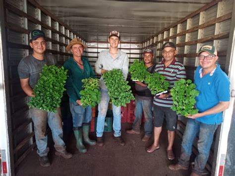 Agraer Custeia Transporte De Cinco Mil Mudas Para Fortalecer A