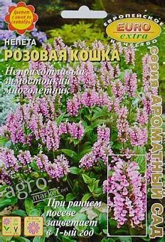 СЕМЕНА РЕДКИХ ЦВЕТОВ: купить семена редких цветов почтой в Киеве ...
